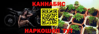 ГАЛЛЮЦИНОГЕННЫЕ ГРИБЫ Шахты
