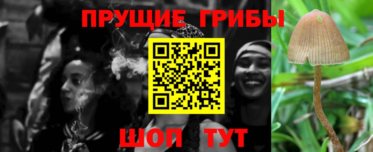 Галлюциногенные грибы Psilocybe Котельники